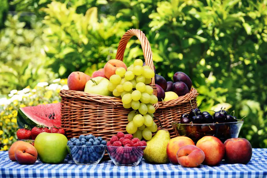 Fruits pour rhum arrangés - fruits du verger