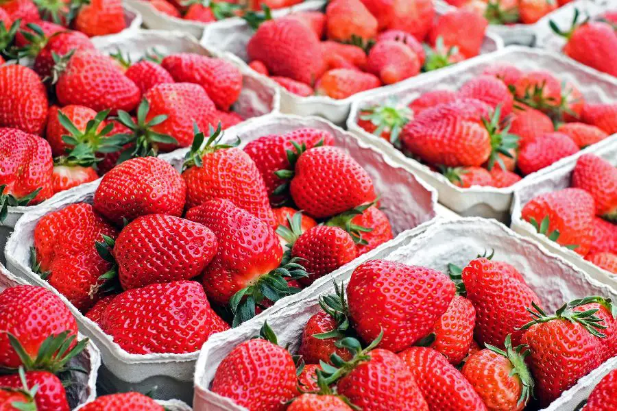 Recette de rhum arrangé fraise - Sur le marché