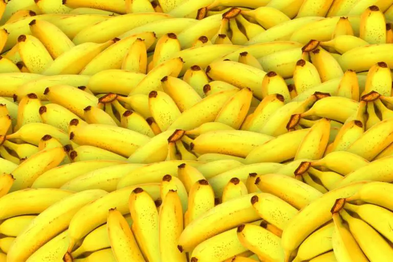 Recette Rhum Arrangé Banane