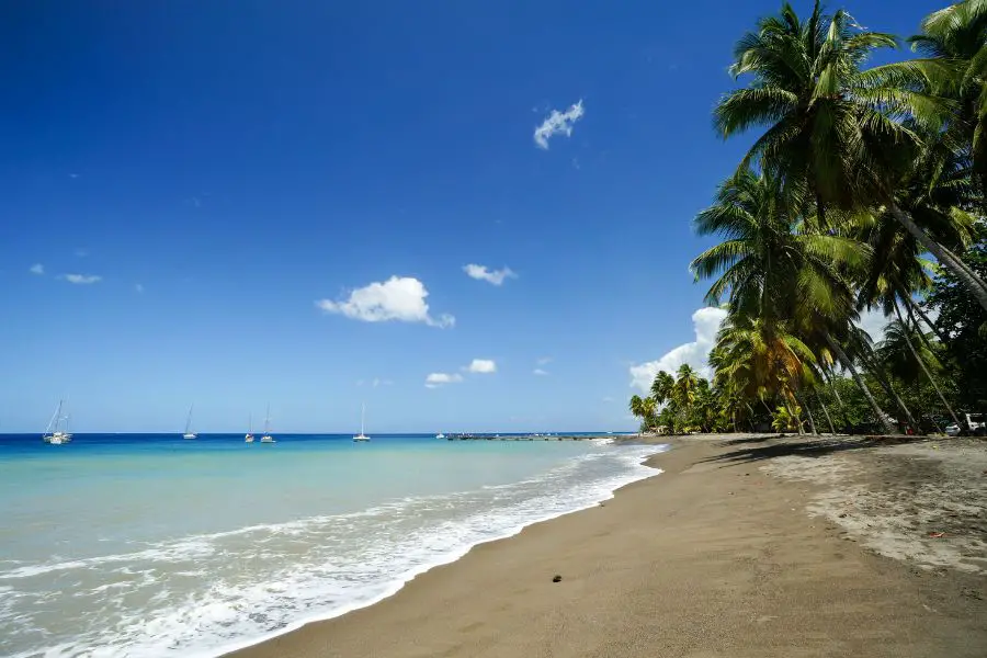 Les 12 Meilleurs Rhums de Martinique - Une des nombreuses plages de l'île