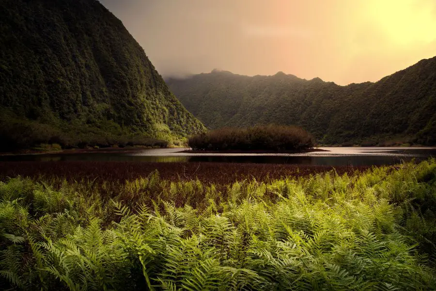 Les 11 Meilleurs Rhums Réunionnais - Les paysages très variés et enchanteurs de la Réunion