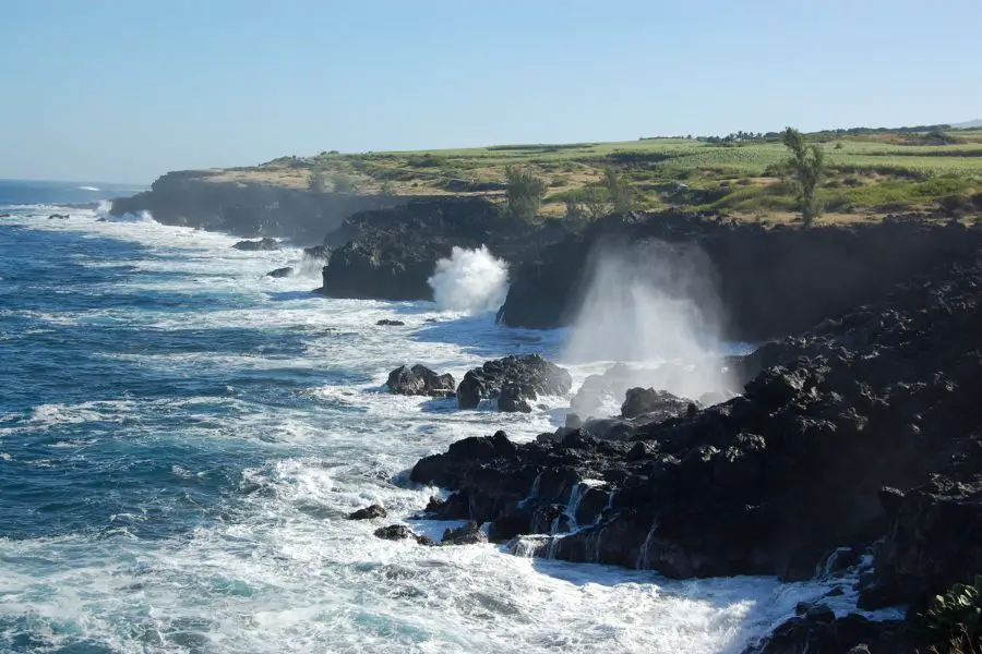 Les 11 Meilleurs Rhums Réunionnais - La Réunion, une île sauvage