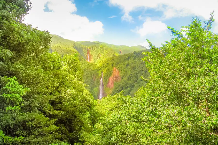 Les 11 Meilleurs Rhums de Guadeloupe - Paysage luxuriant de l'île papillon