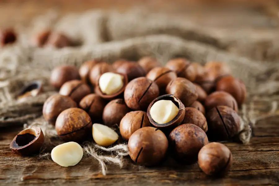 Les 13 Meilleurs Rhums Arrangés - Les fruits à coque peuvent donner d'excellents résultats, comme ici la noix de macadamia